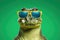 Crocodile wearing sunglasses