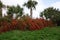 Crocodiles, Alligators in Morocco. Crocodile farm in Agadir.