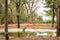 Crocodiles in Jungle/Zoo Park,wildlife Stock Photograph Image