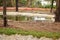 Crocodiles in Jungle/Zoo Park,wildlife Stock Photograph Image