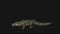 Crocodille Attack, Side View Seamless Loop, Luma Matte
