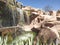 Crocoparc Agadir is a crocodile zoological park located in Drarga, a suburb of Agadir, Morocco