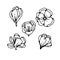 Crocus bud flower spring primroses set outline black white sketch illustration.