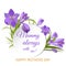 Crocus flowers spring floral beautiful violet flowering illustration vector nature purple april plant.