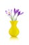 Crocus flowers in yellow vase