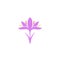 Crocus. Logo. Isolated saffron