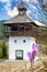Crocus and lookout in Velke Borove, Slovakia