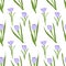 Crocus purple flowers seamless pattern on white