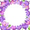 Crocus saffron floral wreath border frame template