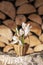Crocuses first spring flowers in a small basket on firewood background