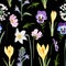 Crocuses with herbs and many kind of spring flowers and meadows seamless pattern.