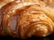 Croissant macro. Detailed close-up of French croissant showing croissant texture. Air baking. Croissant for puff pastry commercial