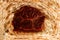 Croissant texture with chocolate. Macro. Fresh croissant from