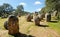 Cromlech of Almendres -Cromeleque dos Almendres- Alentejo, Portugal