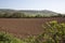 Crook Peak, Somerset, UK