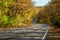 A crooked country road between bright yellow autumn trees. In the distance you can see the peaks of the mountains. In