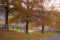 Crooked fence on an autumn pathway