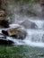 Crooked Fork Creek Waterfall nature art