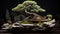 Crooked Japanese pine bonsai growing on stones.