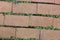 Crooked red bricks with mossy plants growing in the cracks