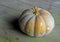 Crookneck pumpkin, Cucurbita moschata