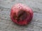 Crop of apples ruined by diseases of fruit trees.  Apple is affected by fungus and mold. Disease scab, a lousy rotten Apple.