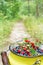 Crop of bilberries and wild strawberries on the forest path