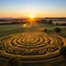 Crop Circle Chronicles: Artistic Testimony from the Unknown