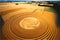 Crop circle formation