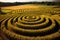 crop circles forming a maze-like pattern in cornfields