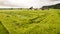 Crop damage in a field, aerial view, near Salzburg, Austria