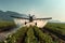 Crop Duster plane spraying crops.