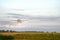 Crop Duster Spraying Corn Field