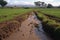 crop field with runoff flowing into nearby stream