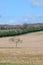 Crop field in rural England.