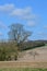 Crop field in rural England.