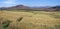 Crop fields in Antsirabe, Madagascar
