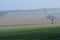 Crop fields in rural England.