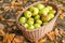 Crop of green apples in basket