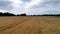 Crop harvest on a grain field at blue sky