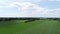 Crop harvest on a grain field at blue sky