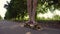 Crop legs riding skateboard in countryside