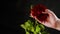 Crop person with red rose. From above crop hand of anonymous person holding red rose with green leaves