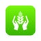 Crop protection icon green vector