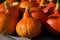 Crop of the pumpkins hokkaido