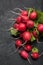 Crop radish lettuce, agriculture, red bunch