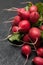 Crop radish lettuce, agriculture, red bunch