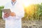 Crop scientist in lab coat using digital tablet against corn field