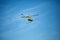 Crop sprayer duster helicopter, spraying mountains, fields and l