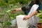 Crop view of adult woman transplanting plants in the garden